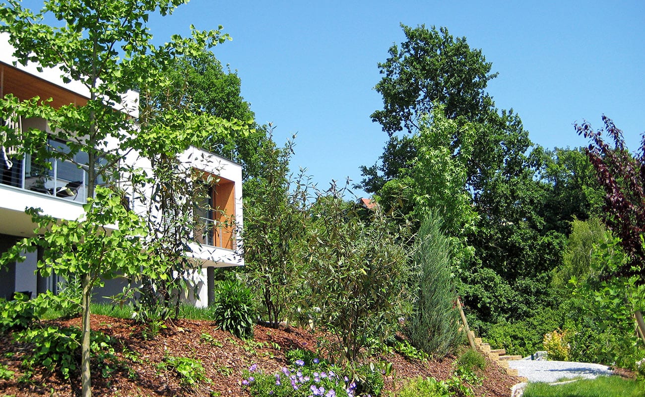 WOHNHAUS I – GEDERSBERG